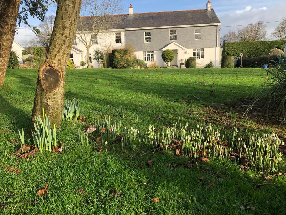 Treweens Wadebridge Buitenkant foto