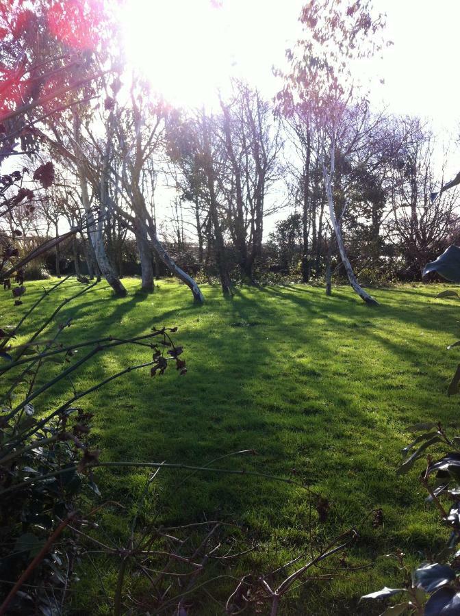 Treweens Wadebridge Buitenkant foto